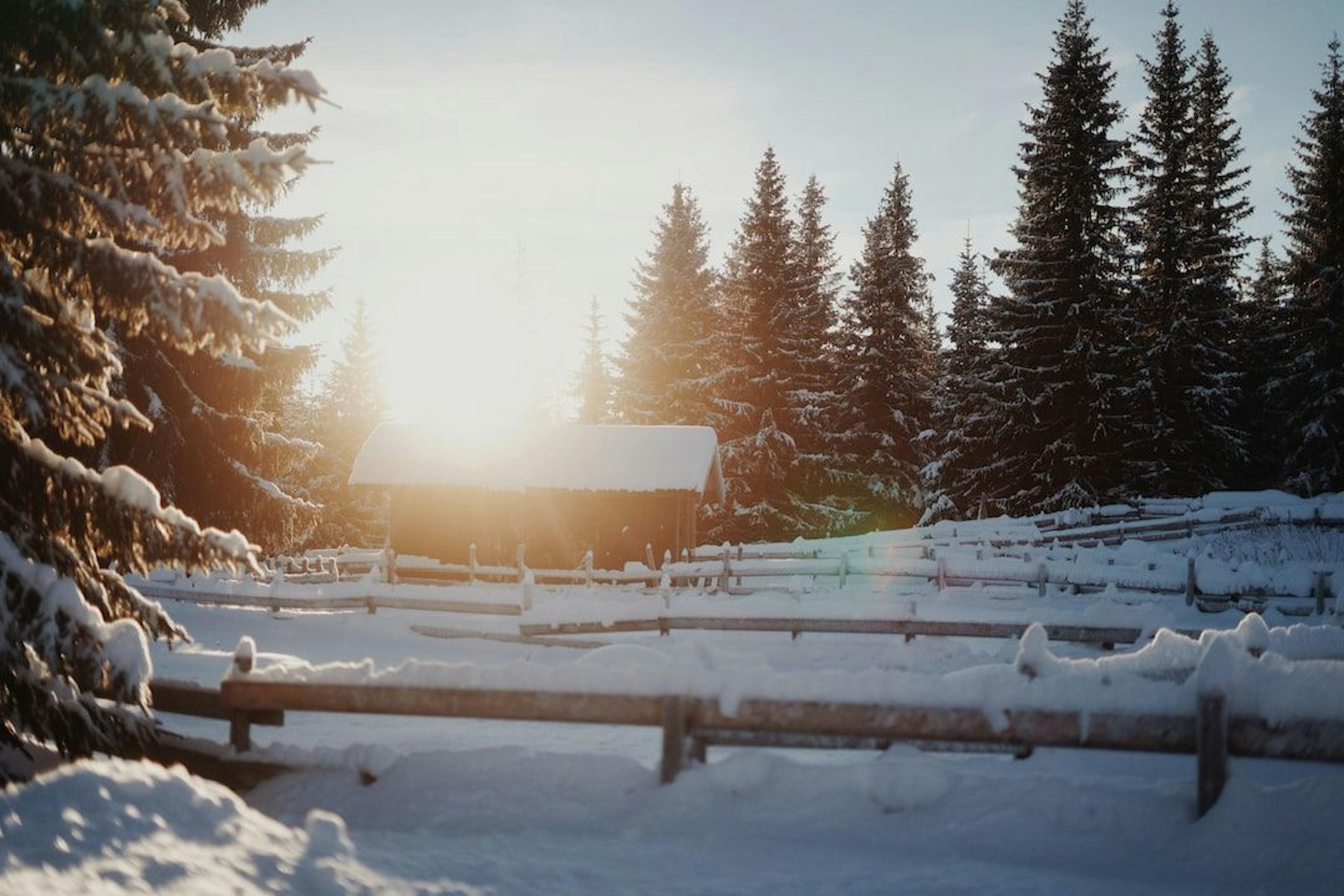 featured image - How to Create a Dynamic Date Table in Power BI: An Essential Step for Dashboard Creation