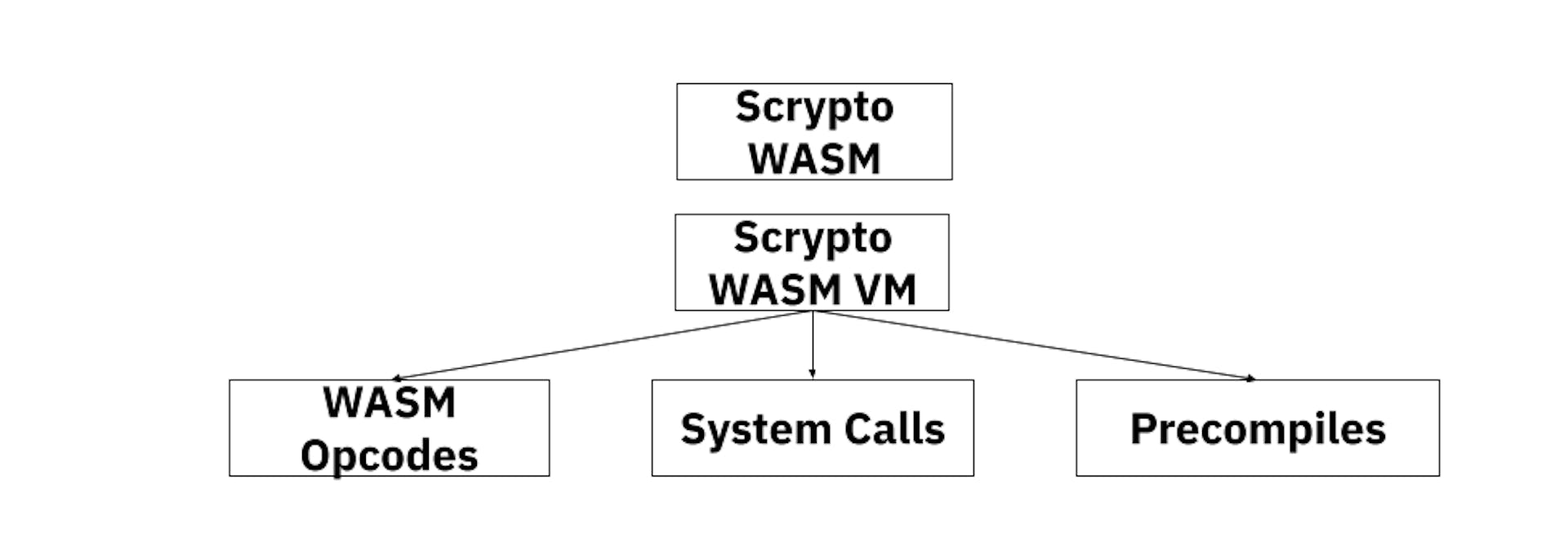 Mô hình máy ảo WASM Scrypto