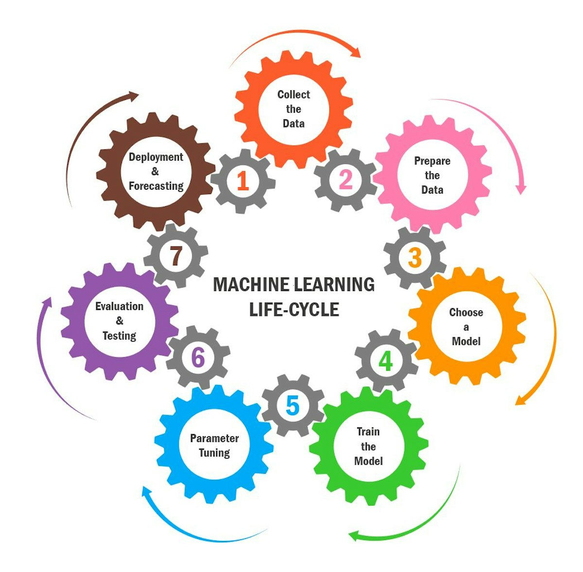 featured image - 7 Vital Steps in the Machine Learning Life Cycle