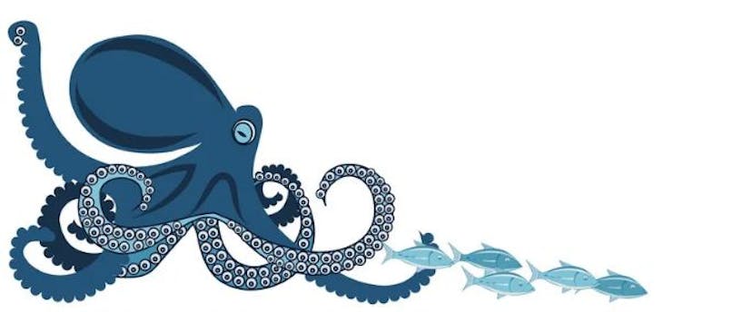 /an-octopus-explosion feature image