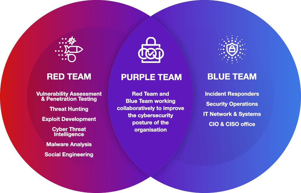 how the purple team comes to be