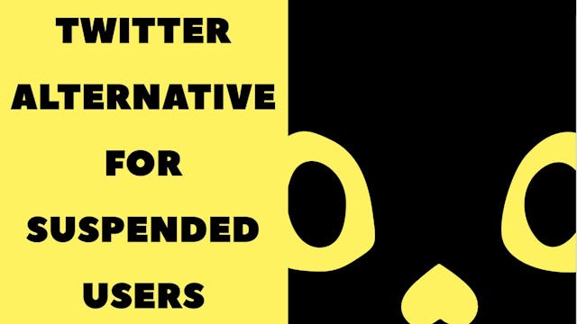 /how-i-built-a-twitter-alternative-for-suspended-users-meet-catzby feature image