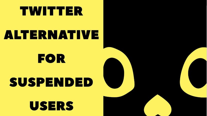 /how-i-built-a-twitter-alternative-for-suspended-users-meet-catzby feature image