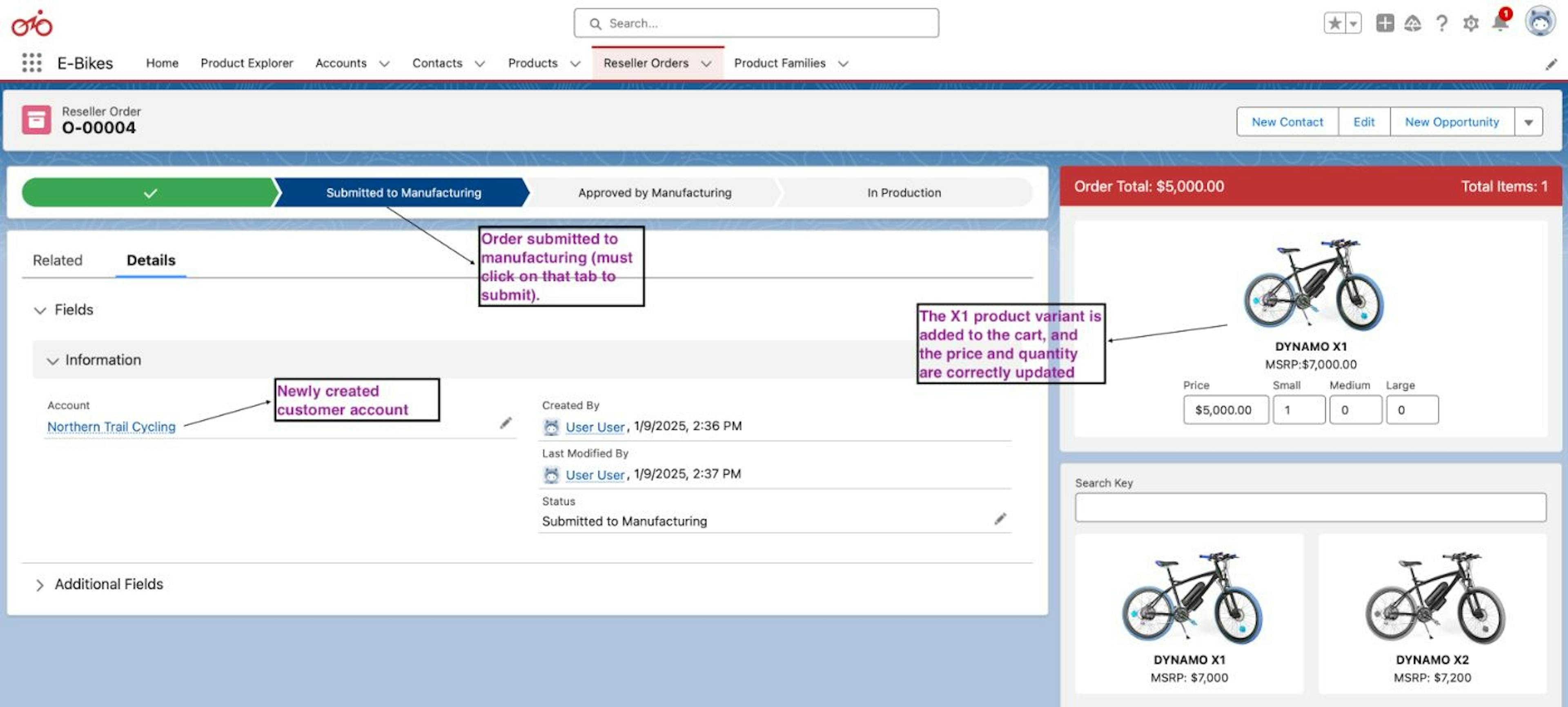 Successful custom flow execution in SalesForce