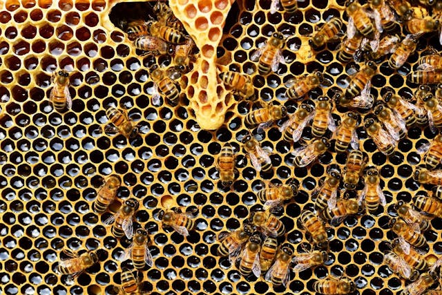 /streamlining-apache-apisix-for-operations feature image