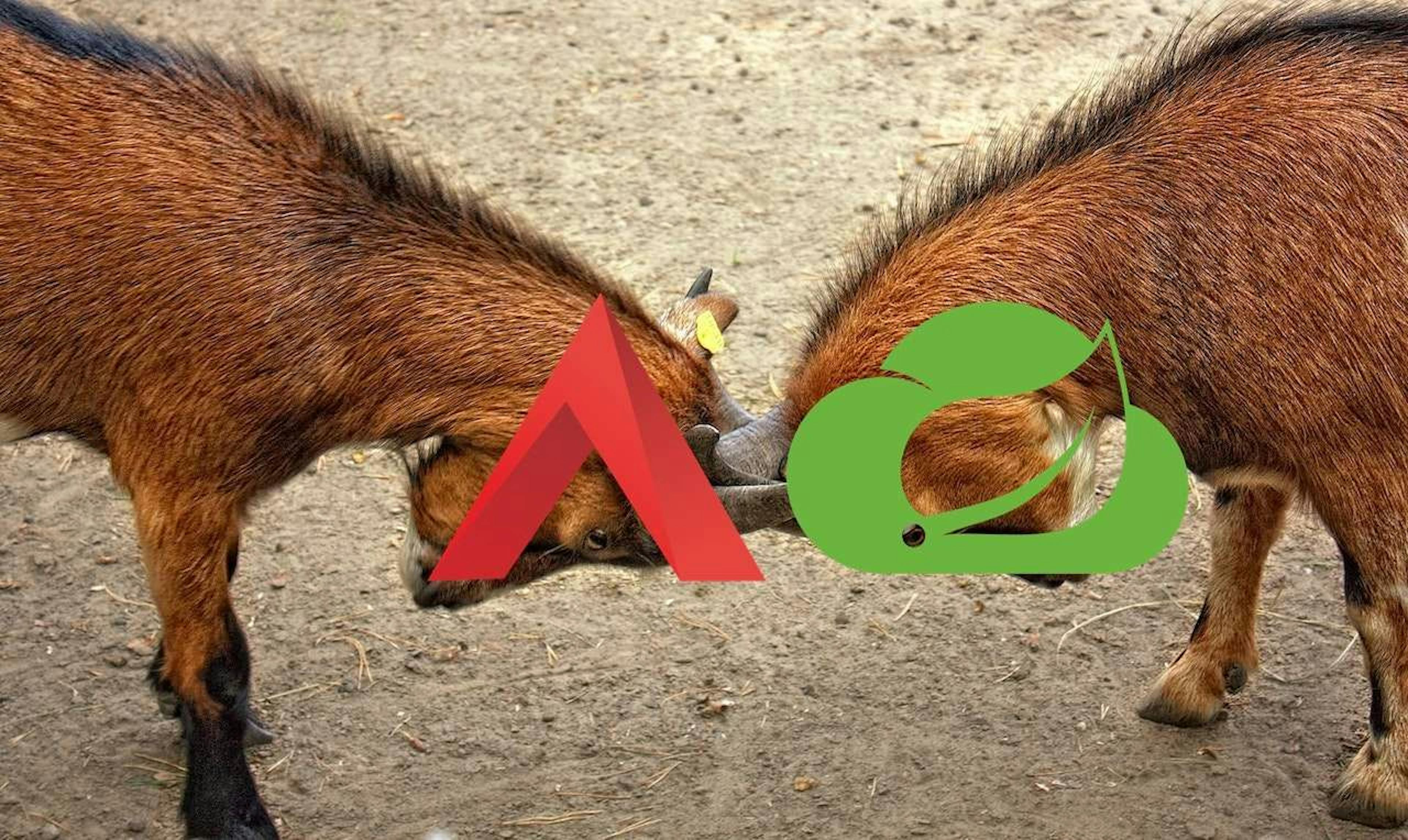 featured image - Apache APISIX vs. Spring Cloud Gateway