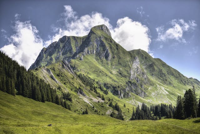 /augmenting-the-client-with-alpinejs feature image
