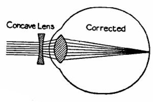 Fig. 117b.