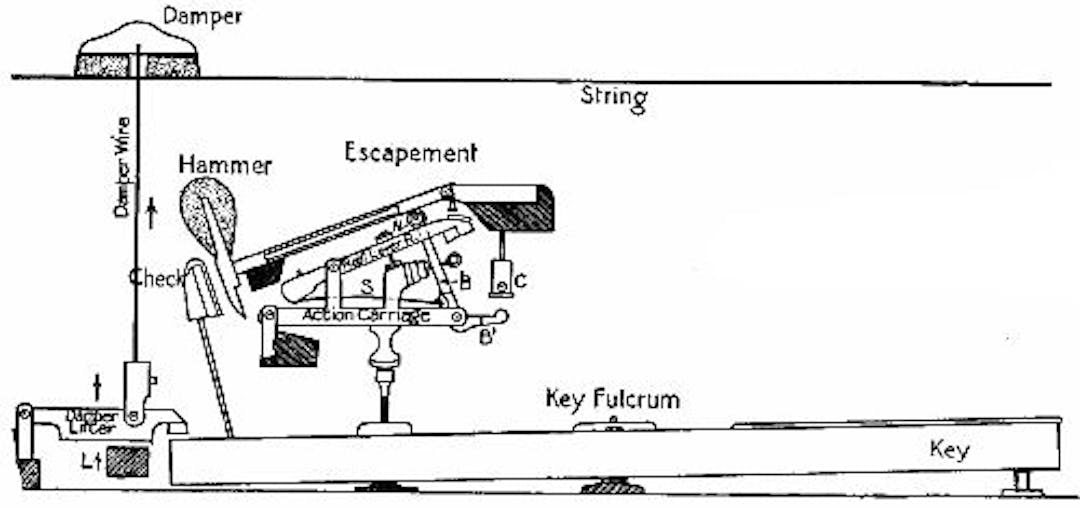  Fig. 135.—The striking mechanism of a "grand" piano.