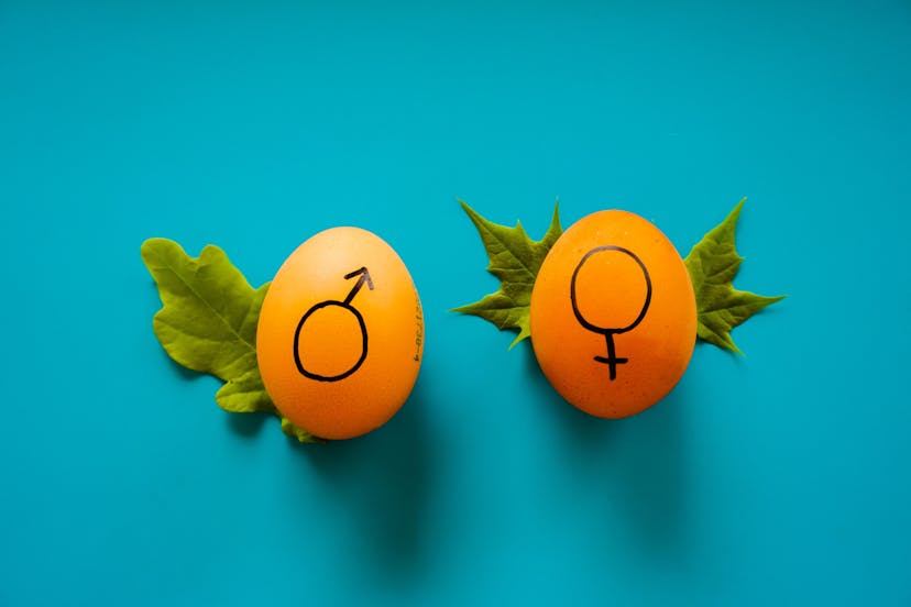/the-existence-of-gender-gap-in-leadership-goals-iya43567 feature image