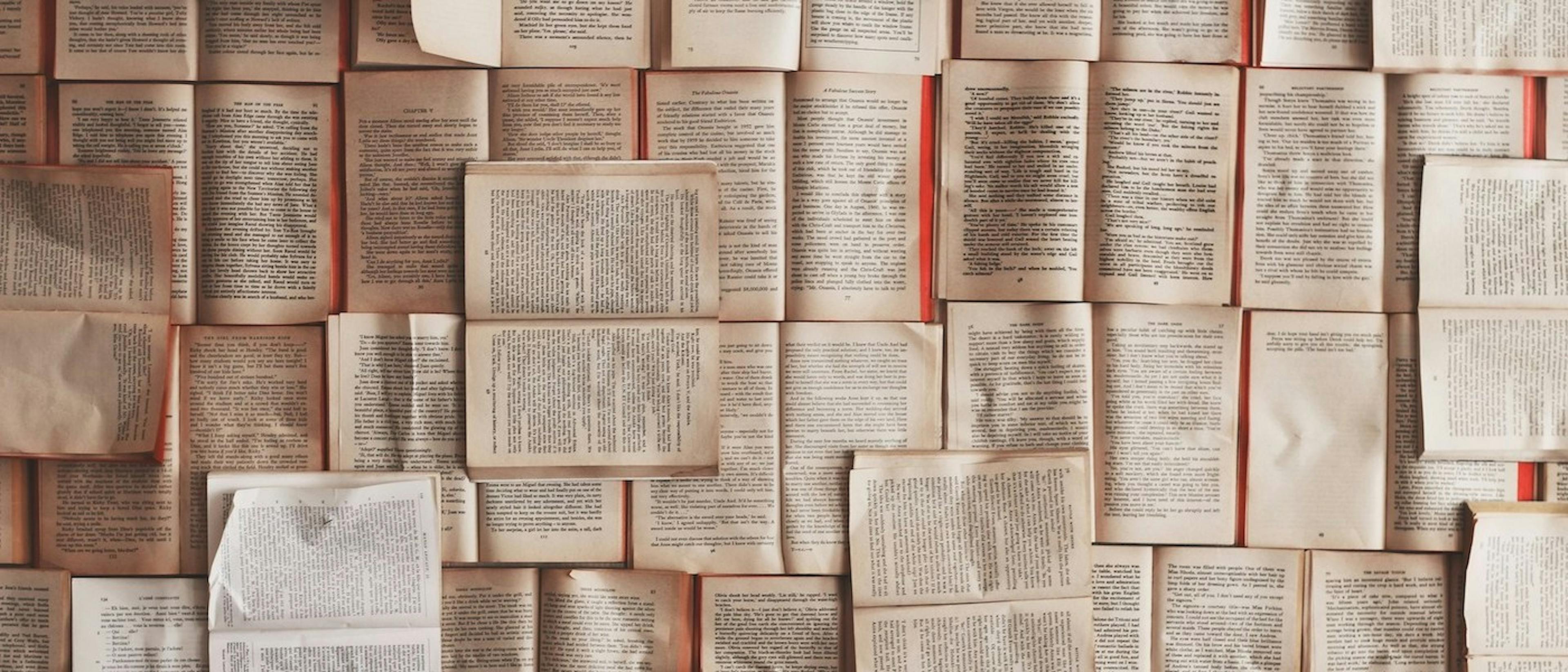 featured image - Seamlessly Install Magnolia CMS With This Guide