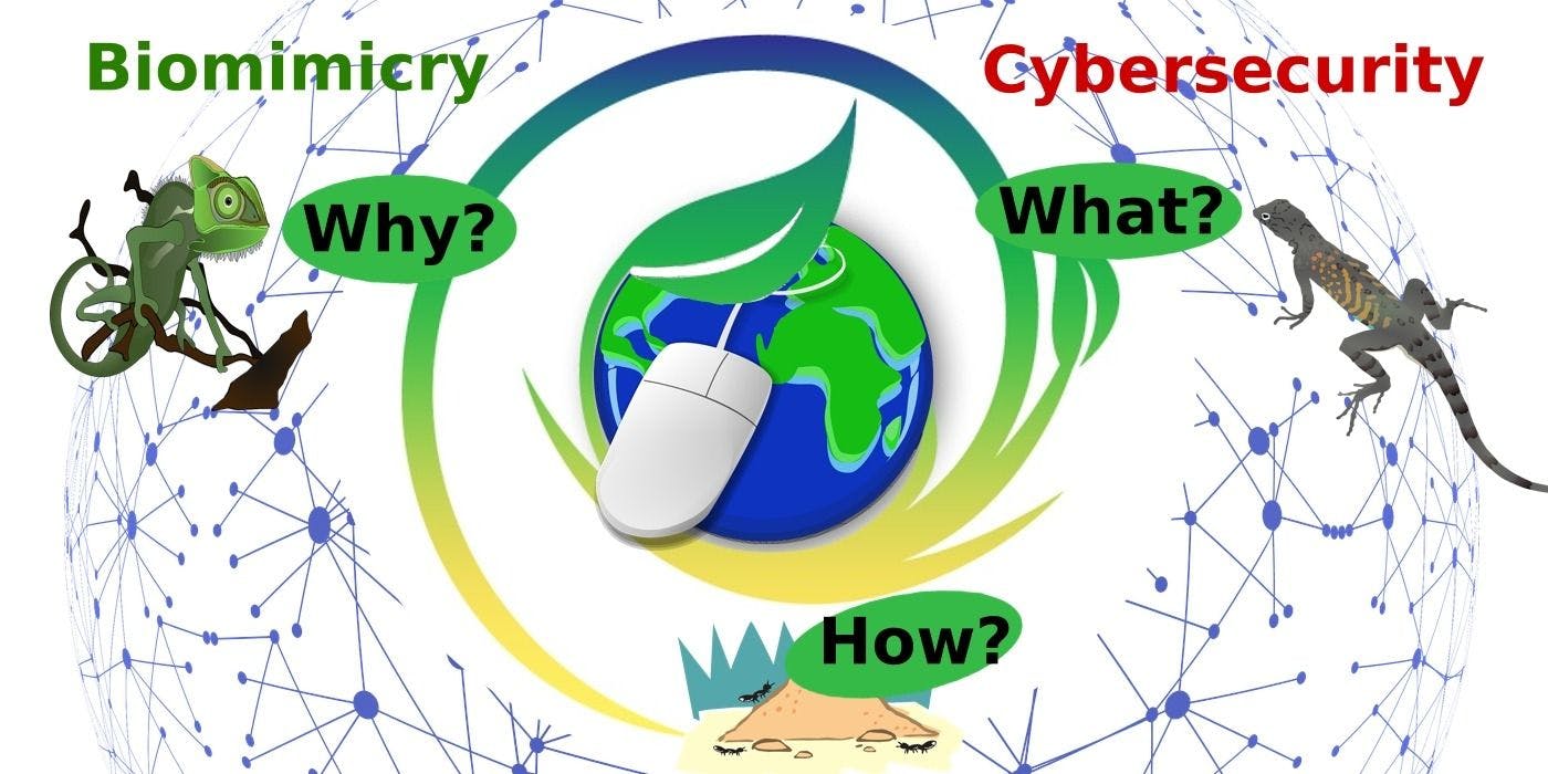 featured image - Cybersecurity + Biomimicry: Why, What, and How We Could Learn from Nature