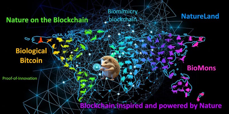 /nature-biomimicry-bitcoin-mutually-beneficial-partnership feature image