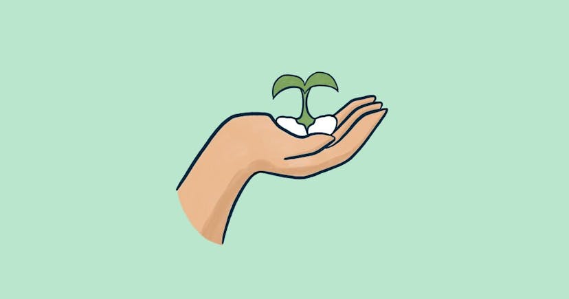 /dubugging-cypress-seeds-3-ways-to-speed-up-your-seed-data-6x2h31ye feature image