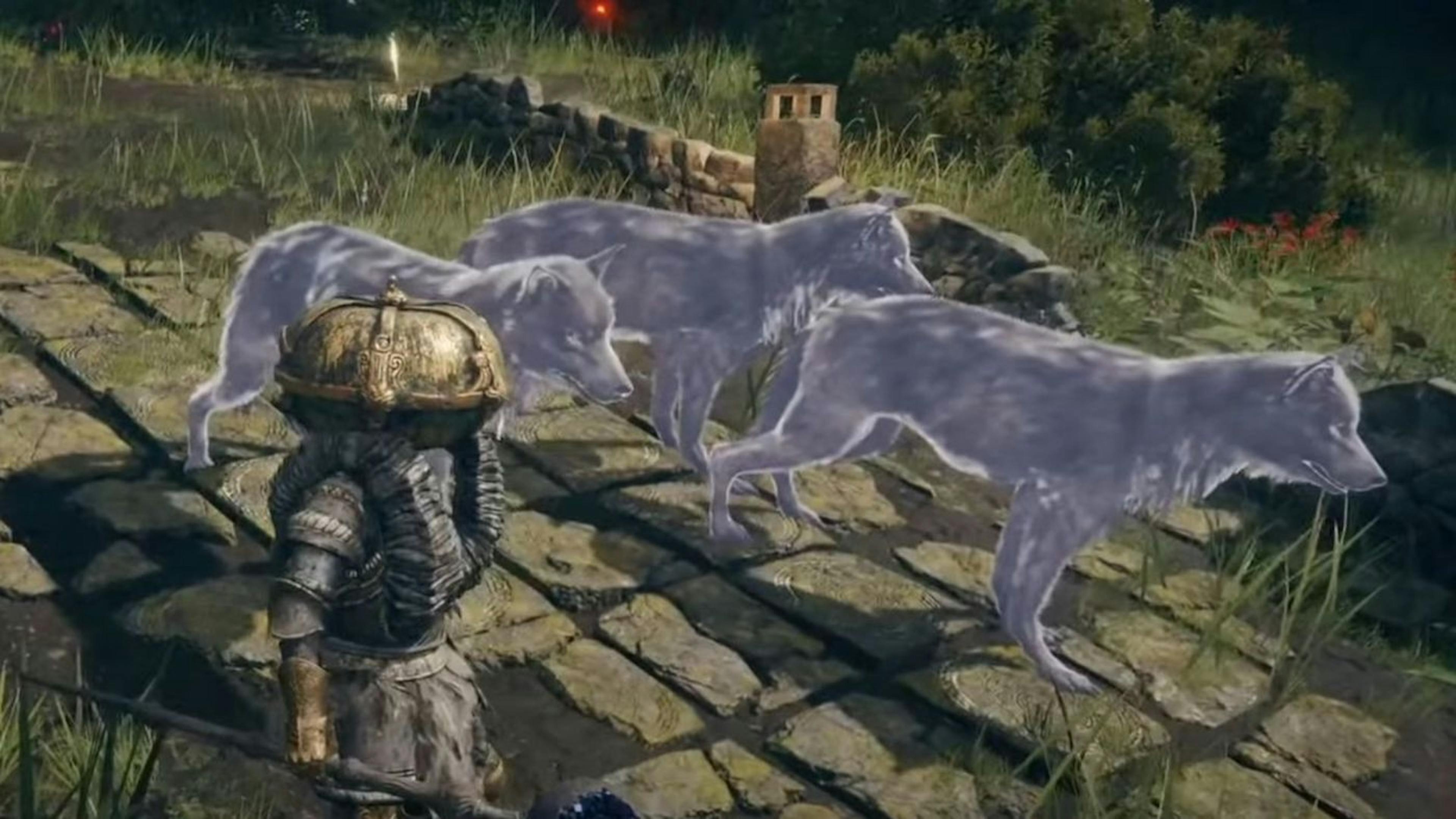 featured image - How to Summon Spirits in Elden Ring (and Upgrade Them)