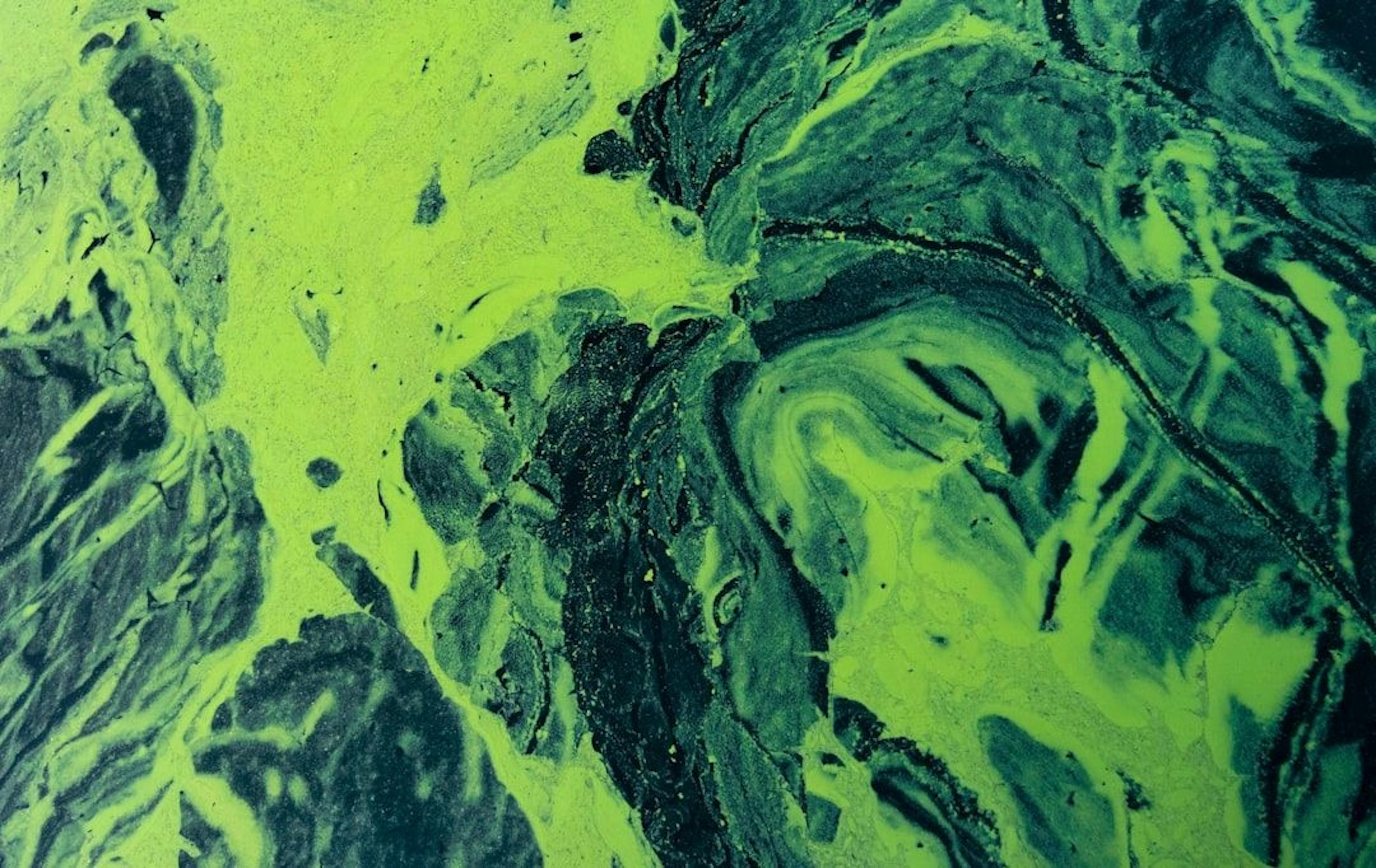 featured image - Detecting Harmful Algal Blooms: Building CNNs for Satellite-Based Edge Computing