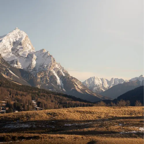 Medha Karri HackerNoon profile picture