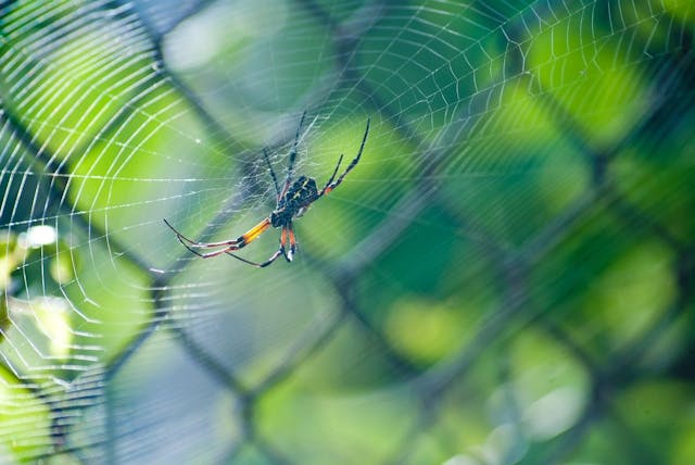 /how-is-web-crawling-used-in-data-science feature image