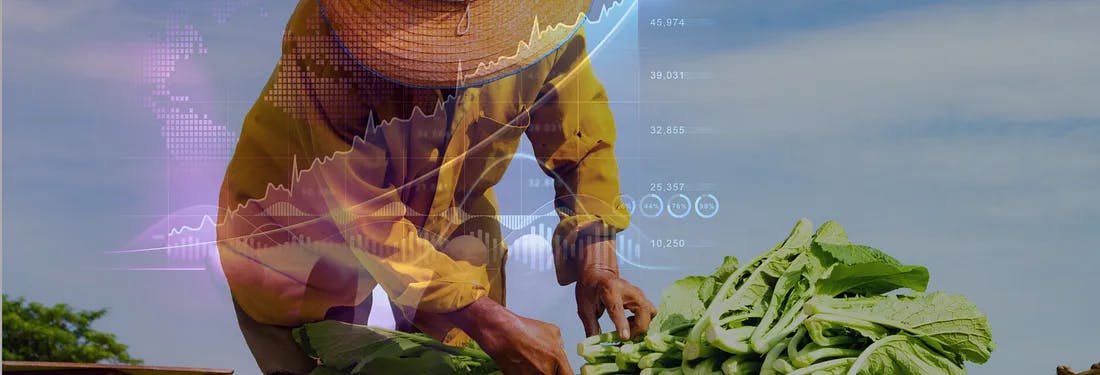 featured image - A Developer’s Guide: How to Automate a Financial Statement Analysis for Microfinance