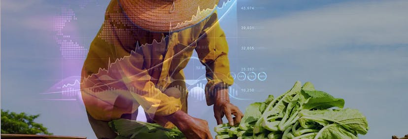 /a-developers-guide-how-to-automate-a-financial-statement-analysis-for-microfinance feature image