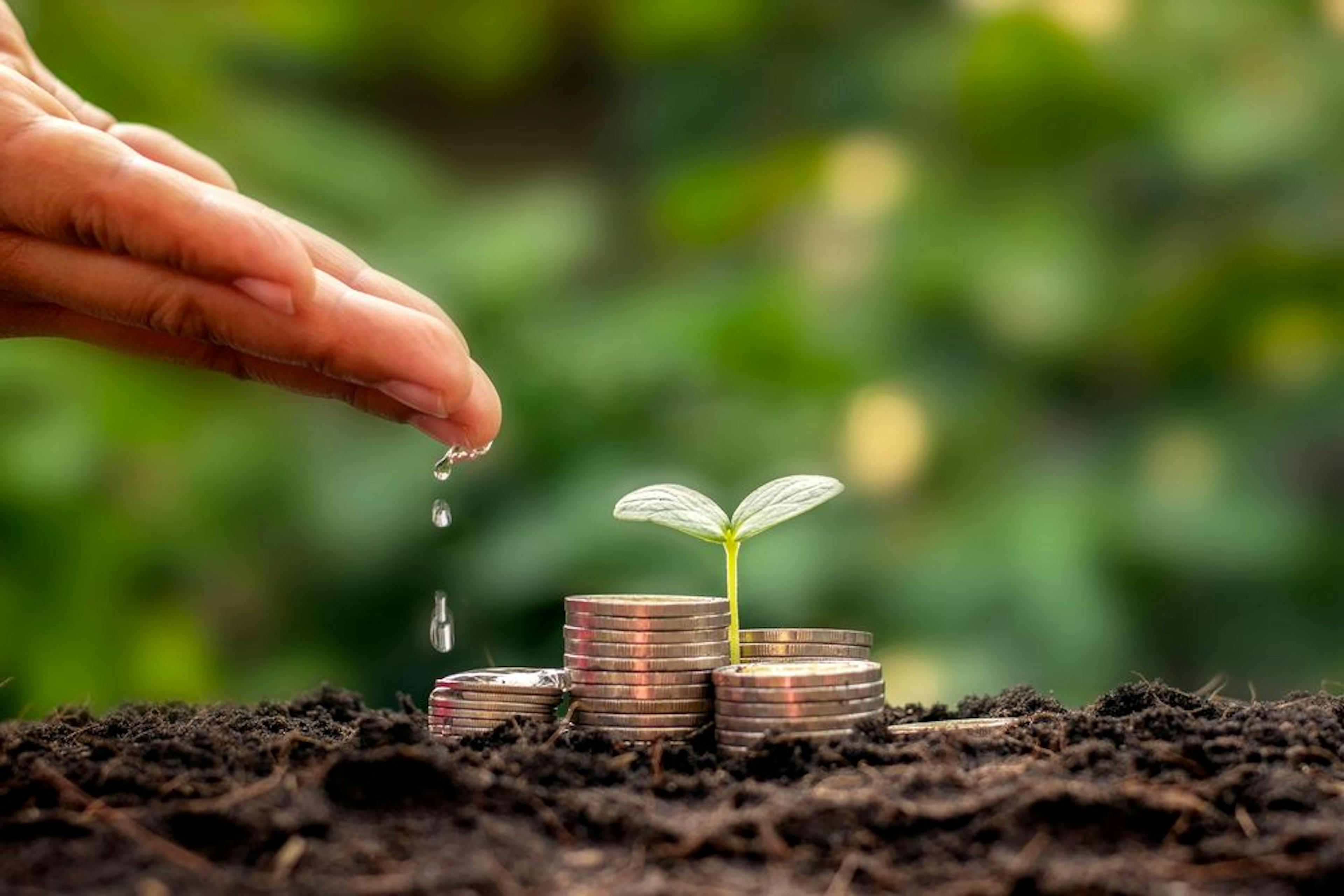 How Venture Capital Firms are Becoming Content Marketing Companies