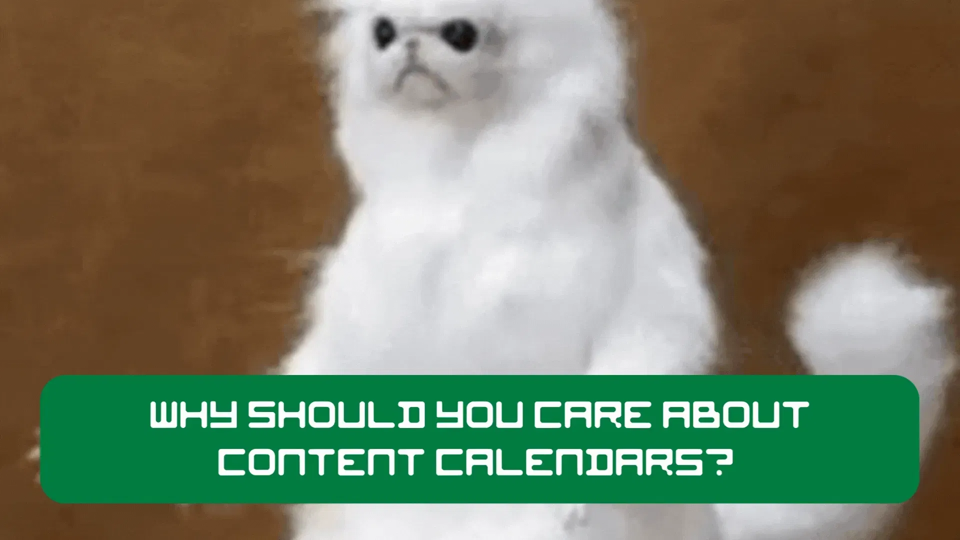 featured image - Why Content Calendars Are Non-Negotiable