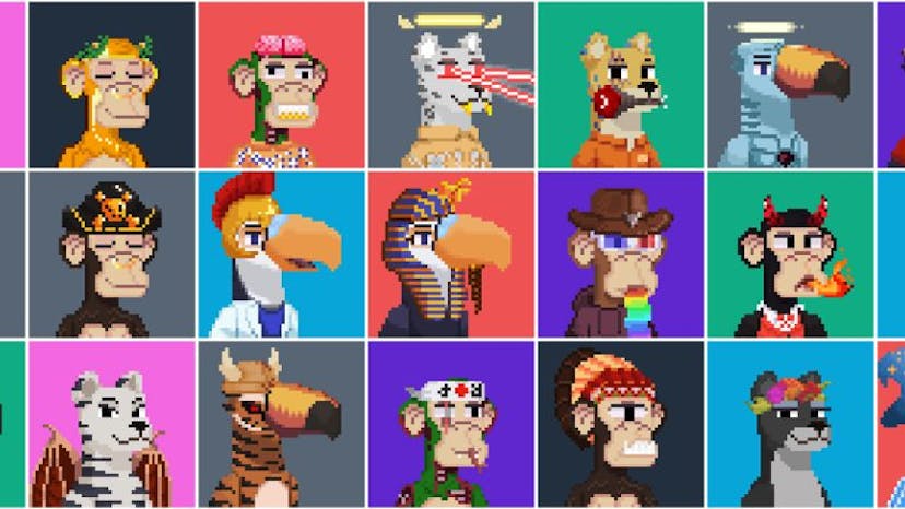 /ape-gang-from-coders-to-sponsors feature image