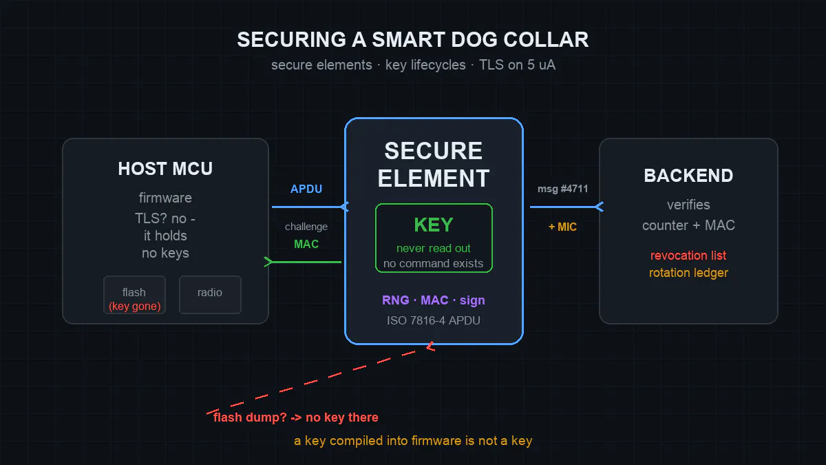 https://hackernoon.imgix.net/images/zhwMB57p0nOfgHJVqL77L8iE7SL2-fr838r0.png