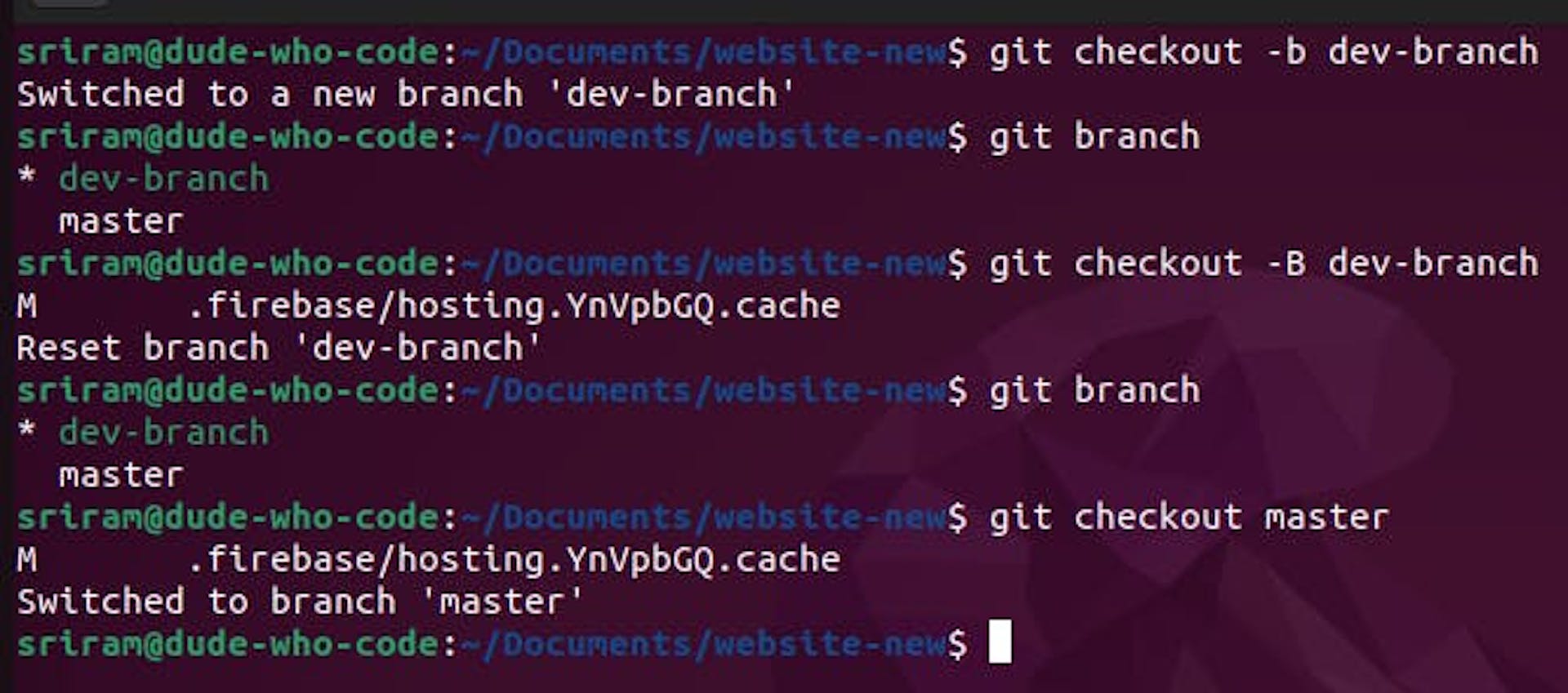 Git checkout command