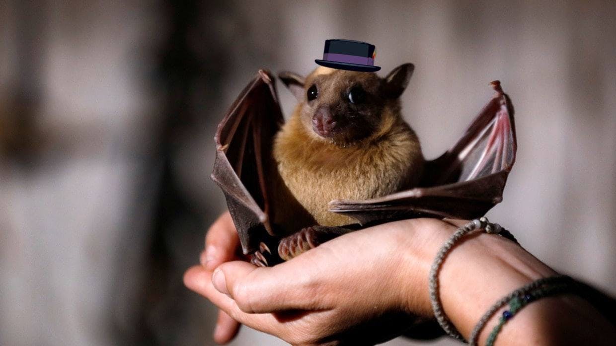 featured image - Dracula Protocol's Growth Hacking Tricks: A Crypto-Marketing Story